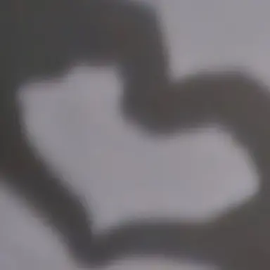 Profile image of 손유찬