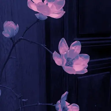 Profile image of 밥풀
