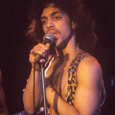 Profile image of Prince Roger Nelson