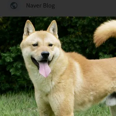 Profile image of 강기이