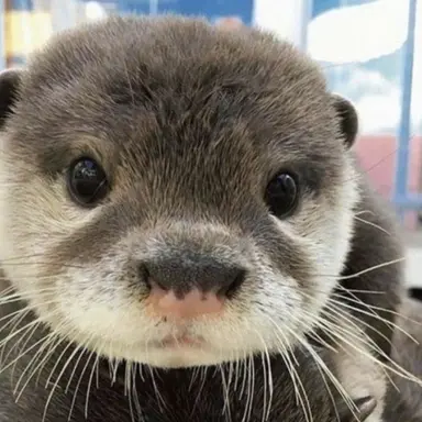 Profile image of 동근이