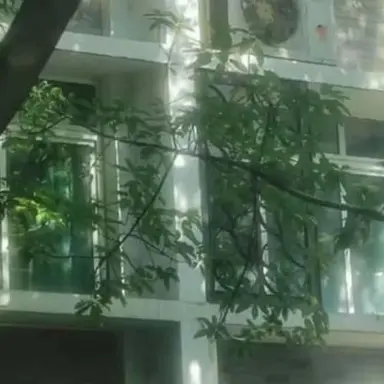 Profile image of 慎太郎