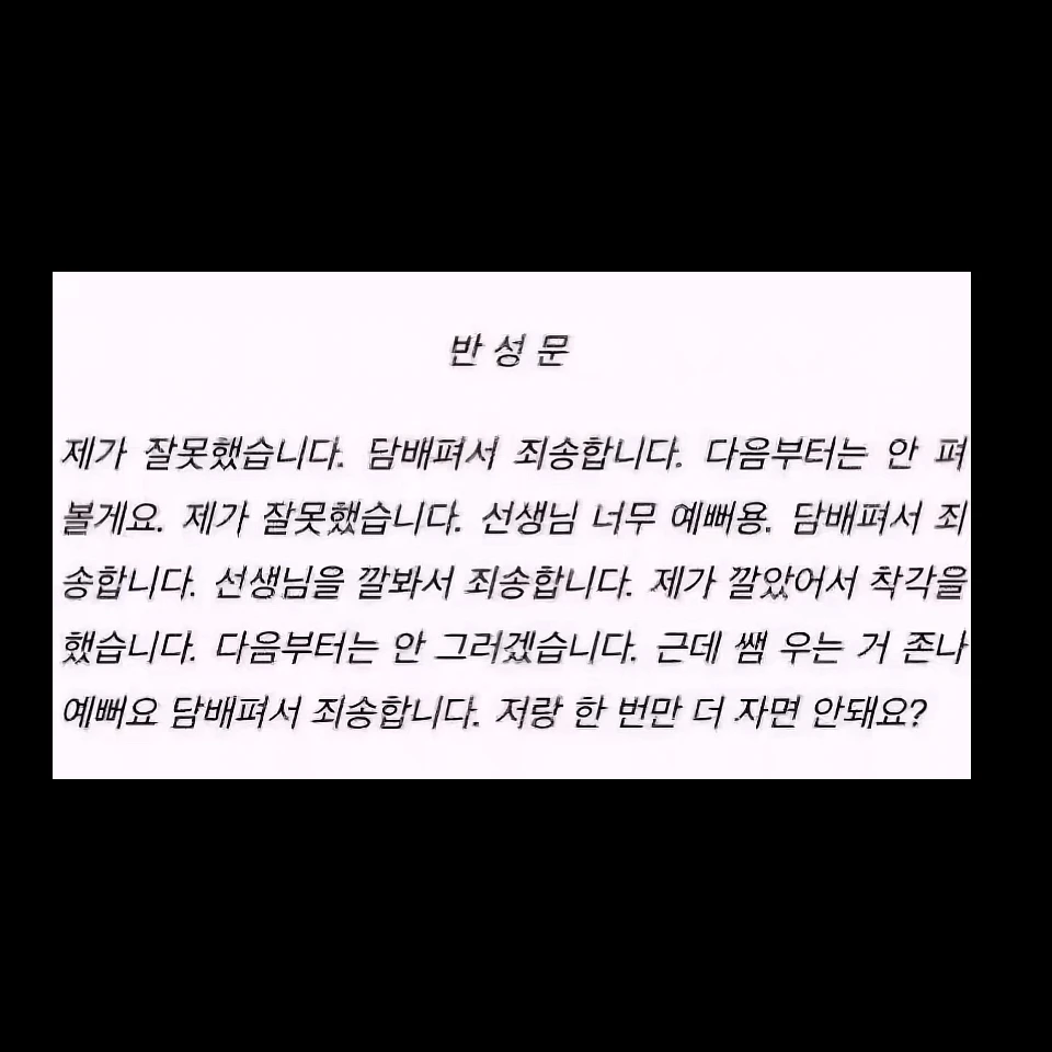 백지후