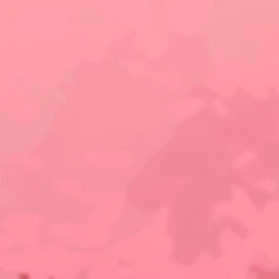 靑明