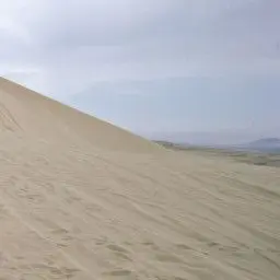 RoughNail8147의 나밖에 없는 세계