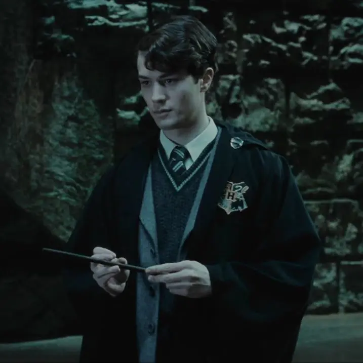 UniqueHoist7321의 Tom Riddle - Chamber of Secrets