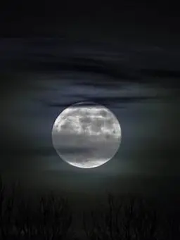 TimelyLily8616의 逃げ出したくなる夜もある
