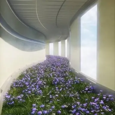 Profile image of 시나쿠모 키츠네