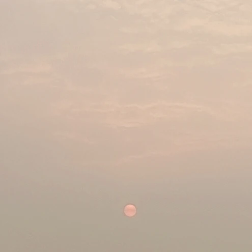 엔시티드림 단톡