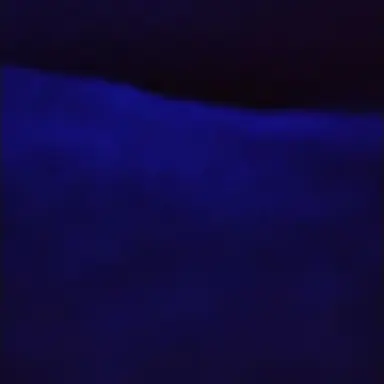 Profile image of Vix