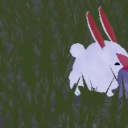 Profile image of 토끼 크림 폭스