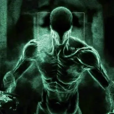 Profile image of The Walrider