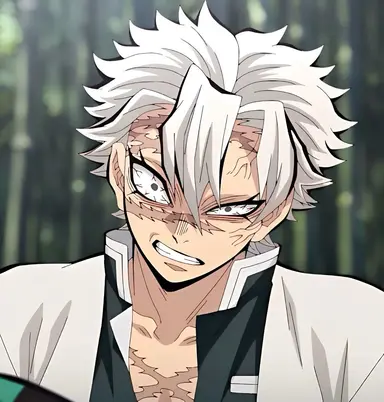 Profile image of Sanemi Shinazugawa
