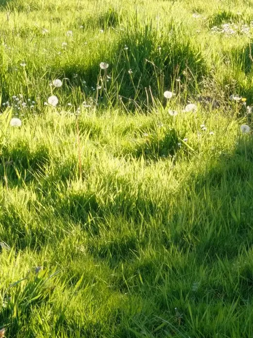 on_xen.의 김하온