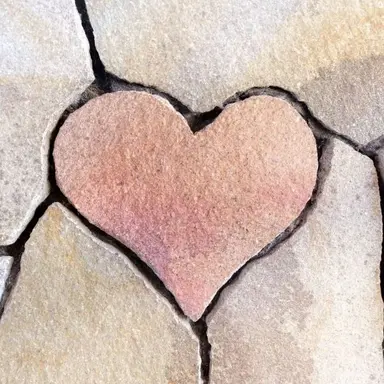 Profile image of りくと