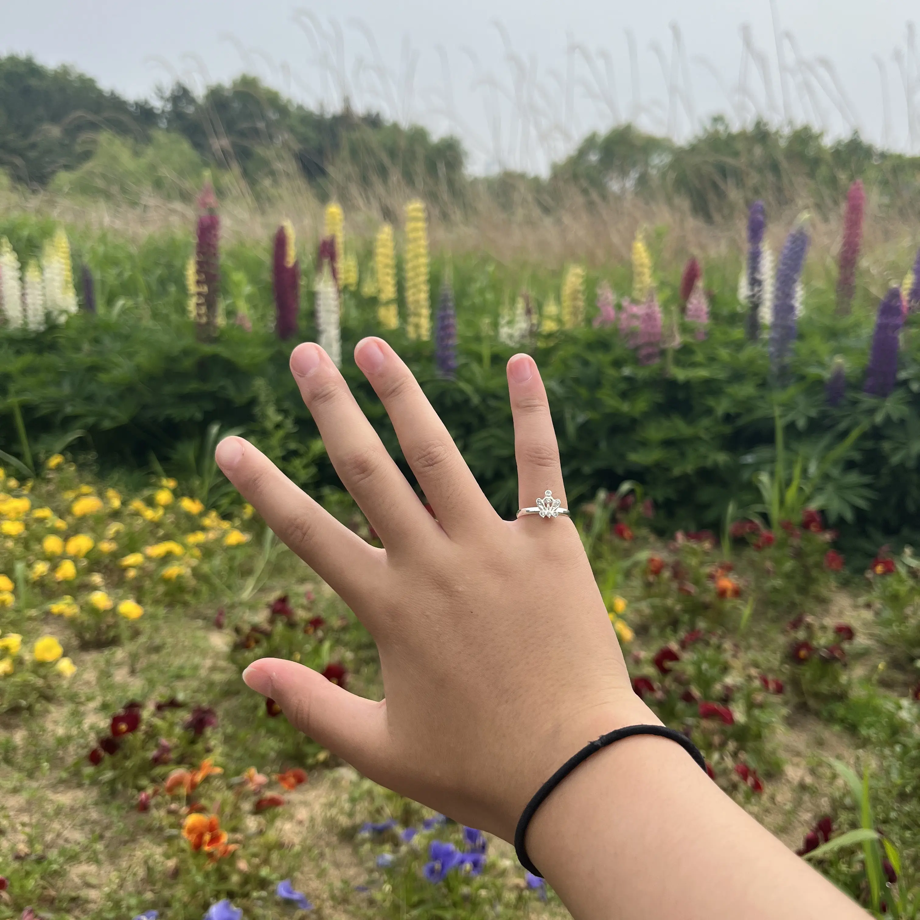 FustyWiper0299의 뜰팁학교