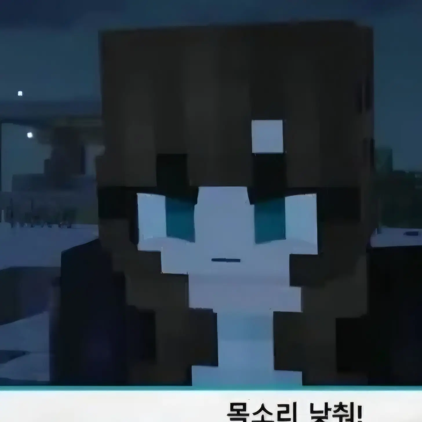 PromptElbow6559의 범이요 좀비시티!!!!