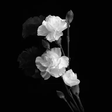 Profile image of 메구미 미오