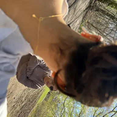 Profile image of Jax