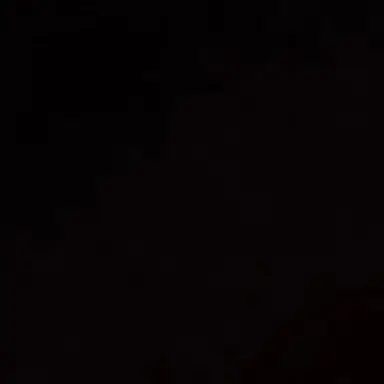 Profile image of 휴.닝.카.이