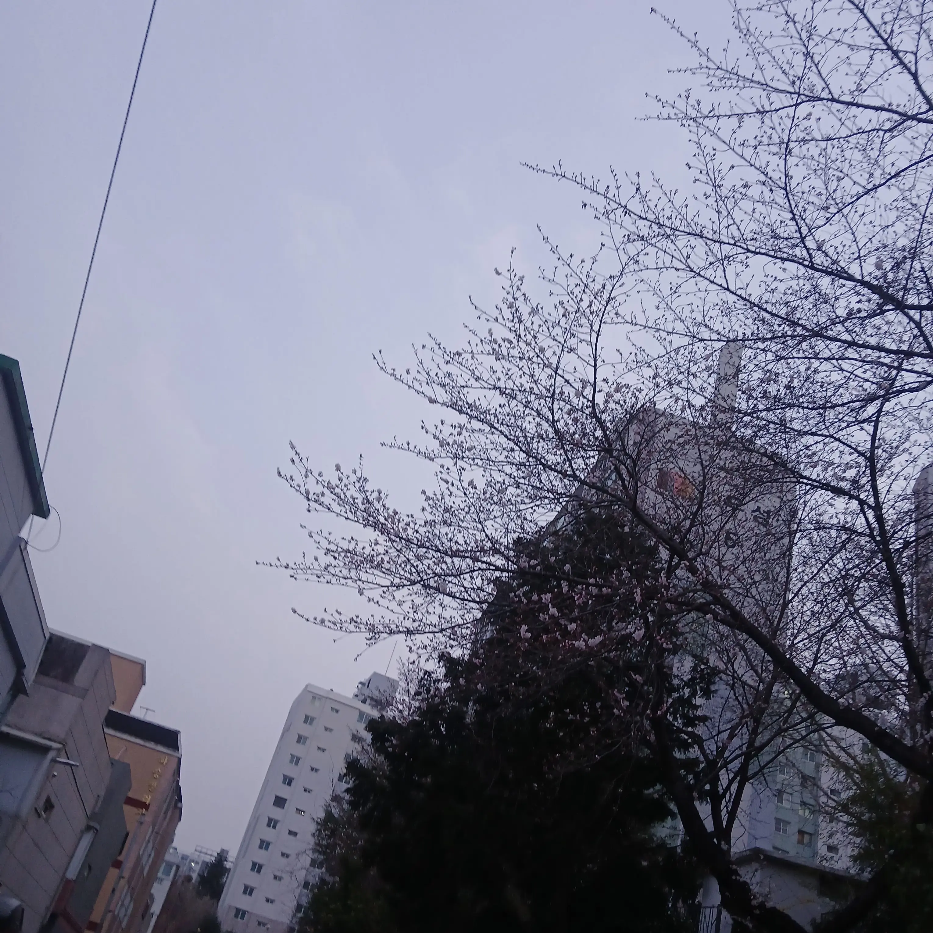 FolksyChime3893의 팀나빠+미겜즈 유저 밥풀