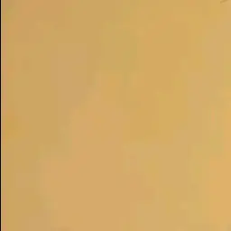 Profile image of Youを狙っている人