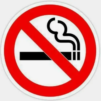 Profile image of 테르