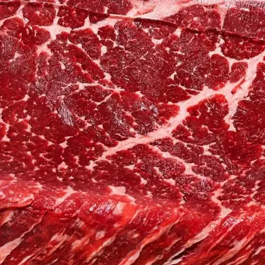 Profile image of 육식토끼