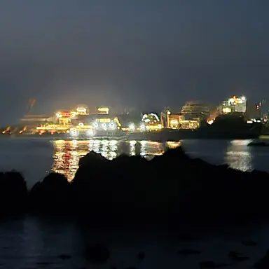 Profile image of 장한철