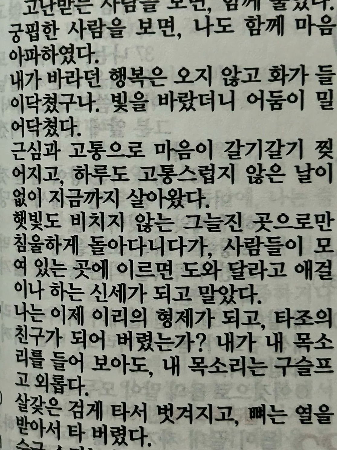 요동 대표 이미지