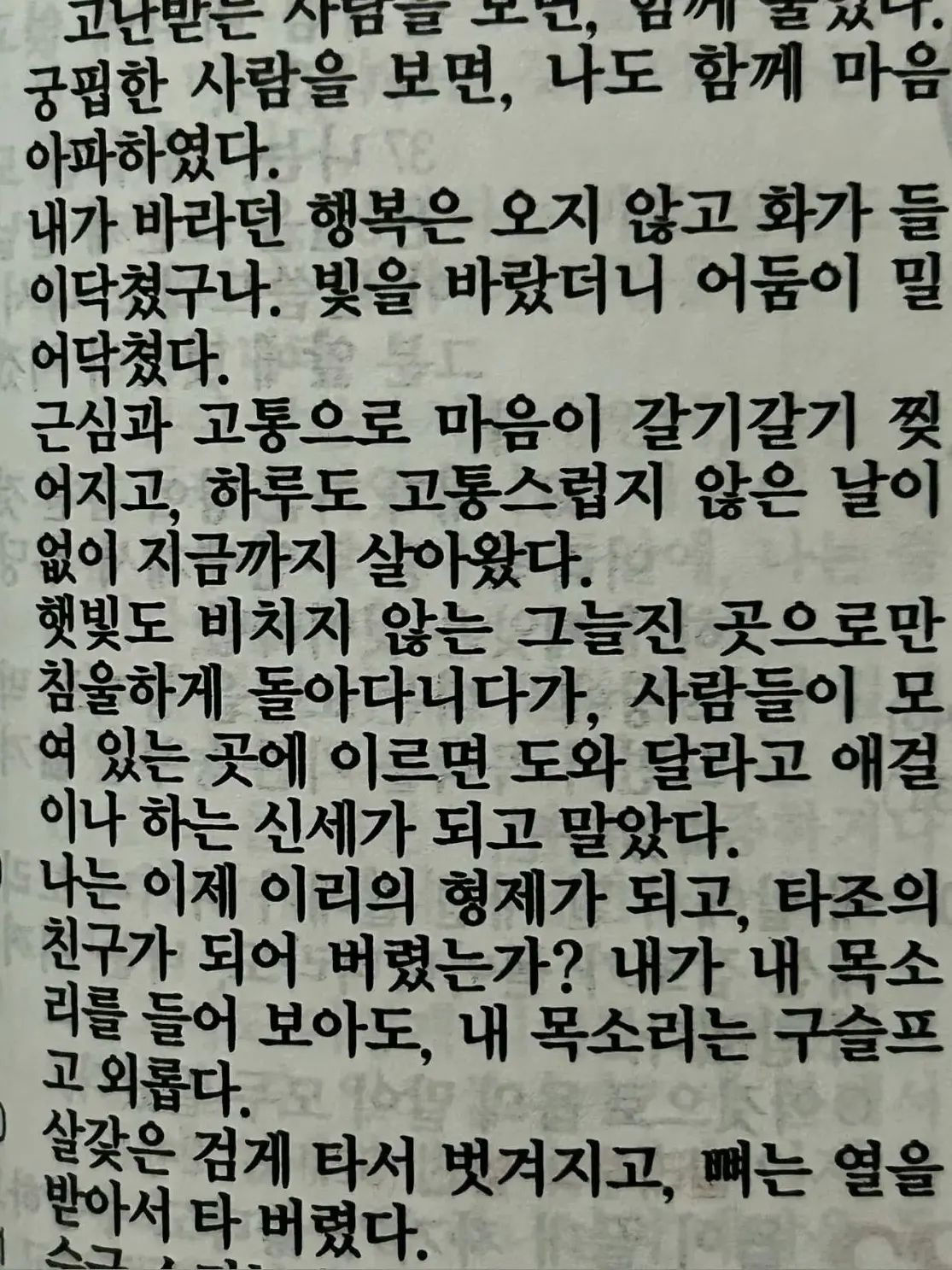 ModernMolto4477의 요동