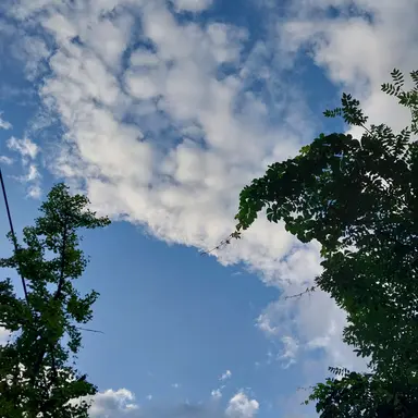 Profile image of 유저