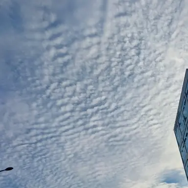 Profile image of 애들