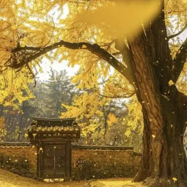 Profile image of 김각별