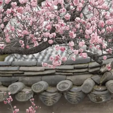 Profile image of 여지우