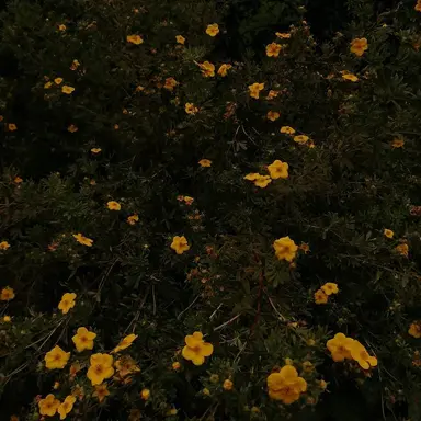 Profile image of 유하람