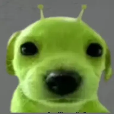 Profile image of 김선호