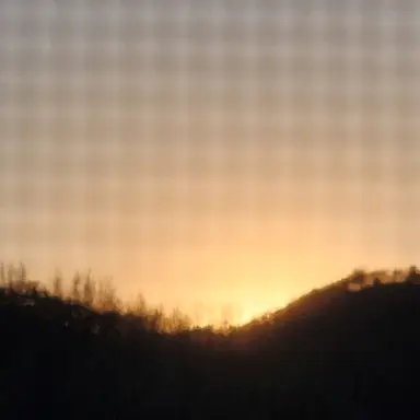 Profile image of 호원