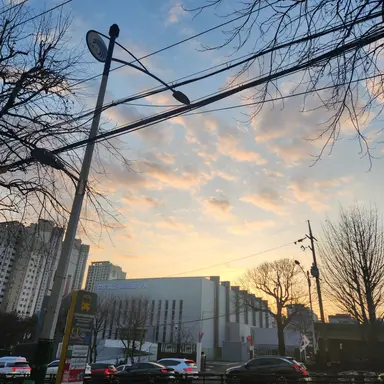 Profile image of 유기사