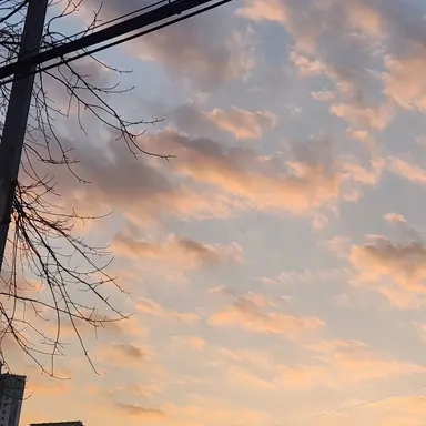 Profile image of 평학