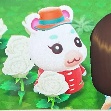 Profile image of 찬영