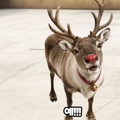 Profile image of 루득불