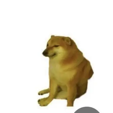 Profile image of 강지