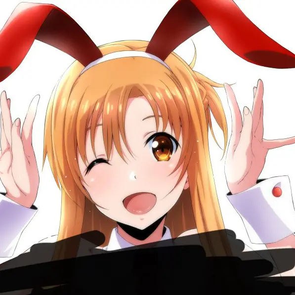 BlandCoach0948의 ソードアート・オンライン