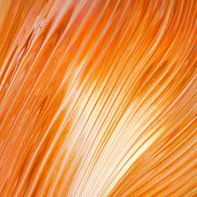 Profile image of 덕개