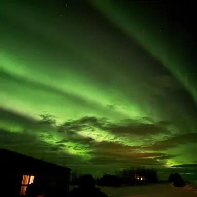 Profile image of 공룡