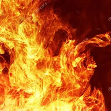 Profile image of 렌고쿠