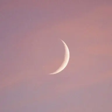 Profile image of 코쿠시보