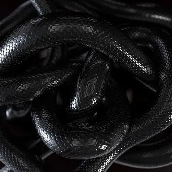 Profile image of 오바나이