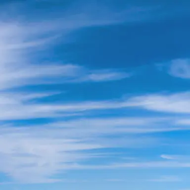 Profile image of 잠뜰